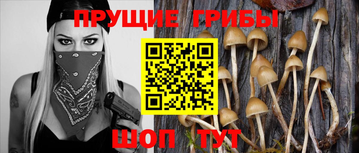Галлюциногенные грибы Magic Shrooms Волоколамск