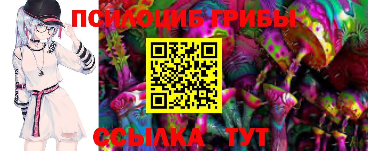 Волоколамск  Псилоцибиновые грибы Cubensis  Вход с VPN  Псилоцибиновые грибы мицелий 
